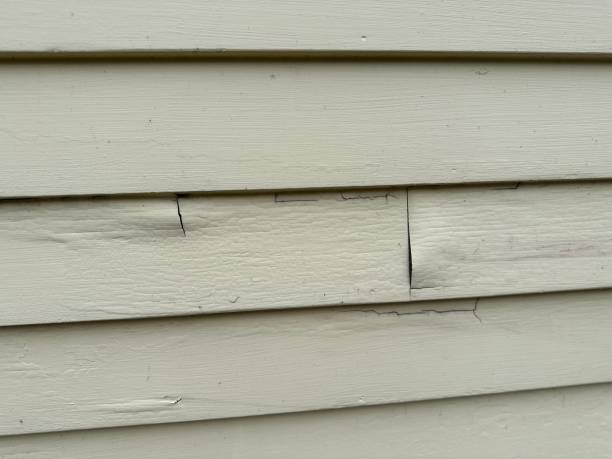 Trusted Montpelier, VT Siding Experts